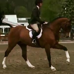 Meet your Posher, Jess